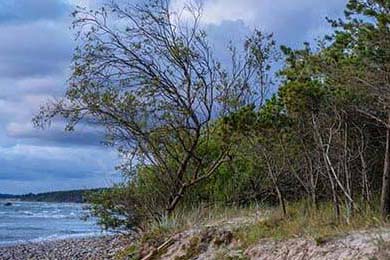 DNF公益服发布网：别样游戏环境背后的风险与争议？