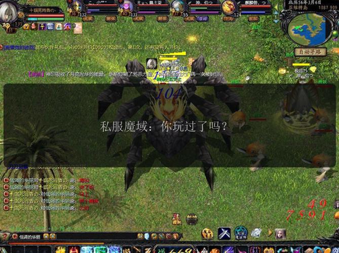 魔域SF发布网：提供各类私服版本，满足新手高玩不同需求